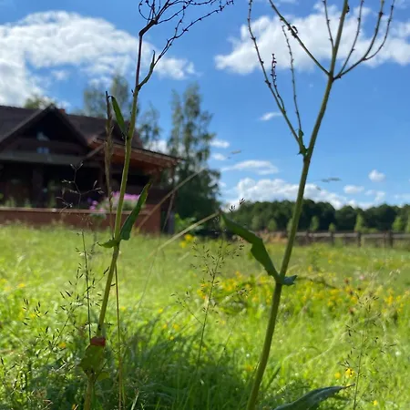 Dom Nad Beldanem Lodge *