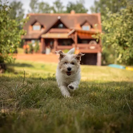 Lodge Dom Nad Beldanem