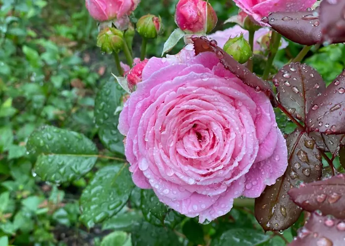 Dom Nad Beldanem ロッジ