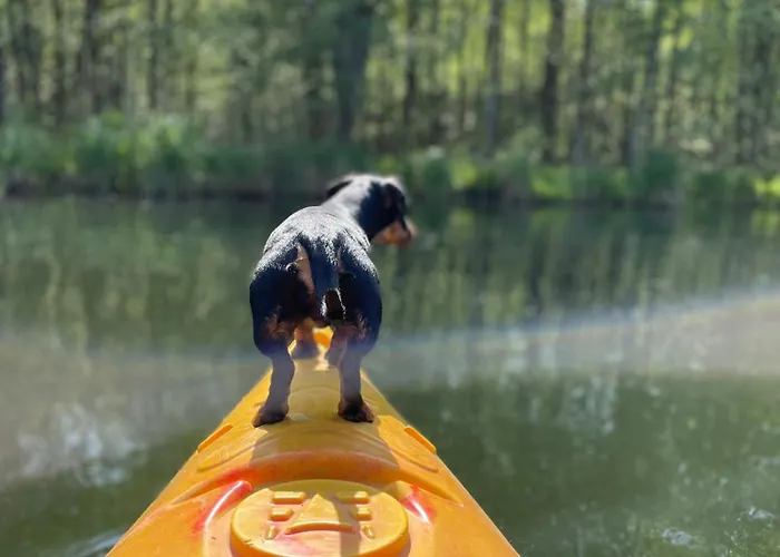 Lodge Dom Nad Beldanem *