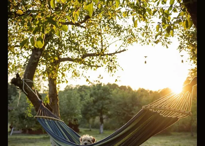 Lodge Dom Nad Beldanem