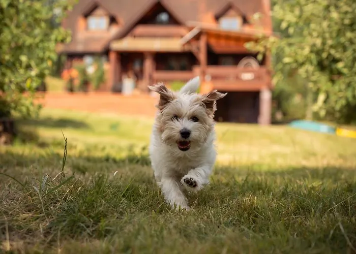 Lodge Dom Nad Beldanem