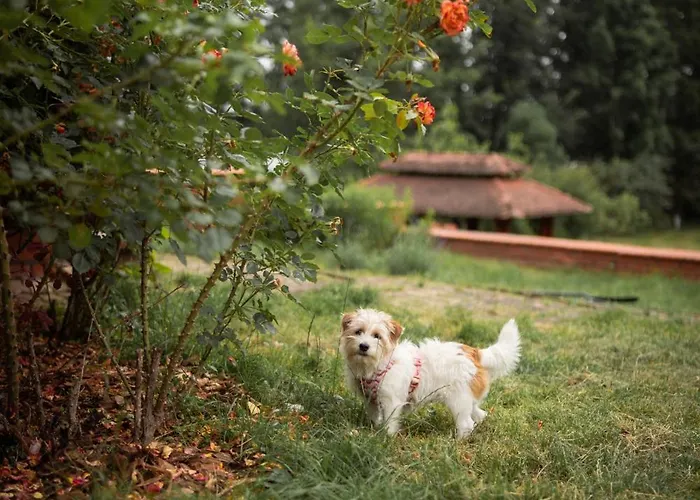 Dom Nad Beldanem Lodge