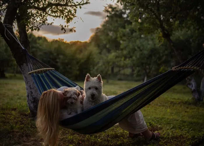 Dom Nad Beldanem Lodge *